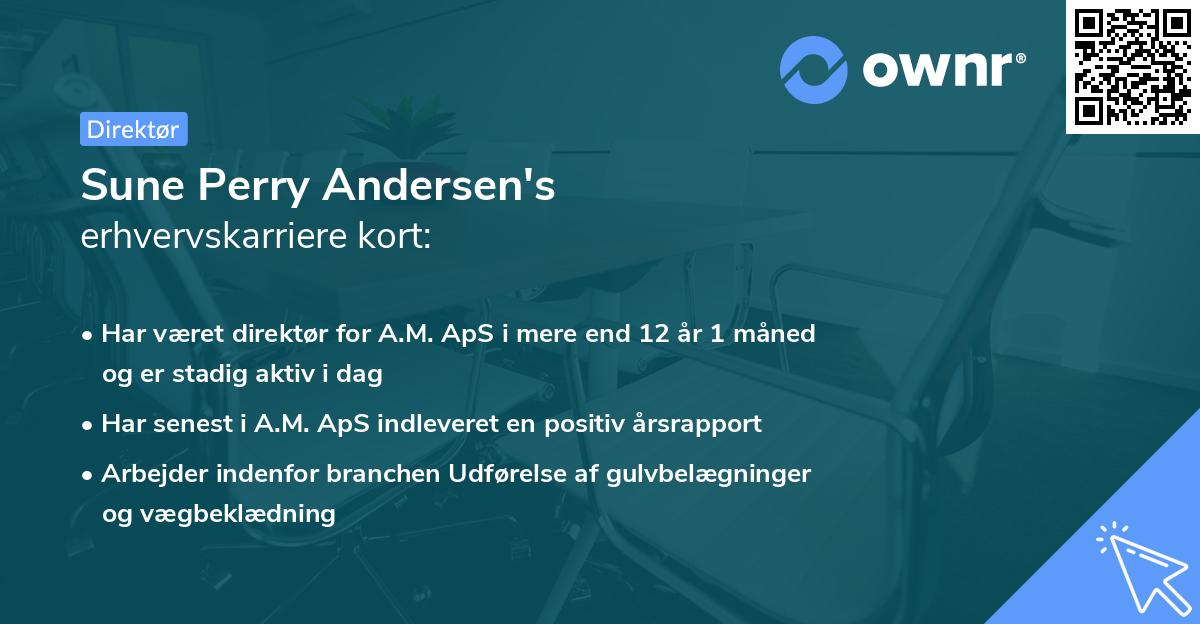 Sune Perry Andersen's erhvervskarriere kort