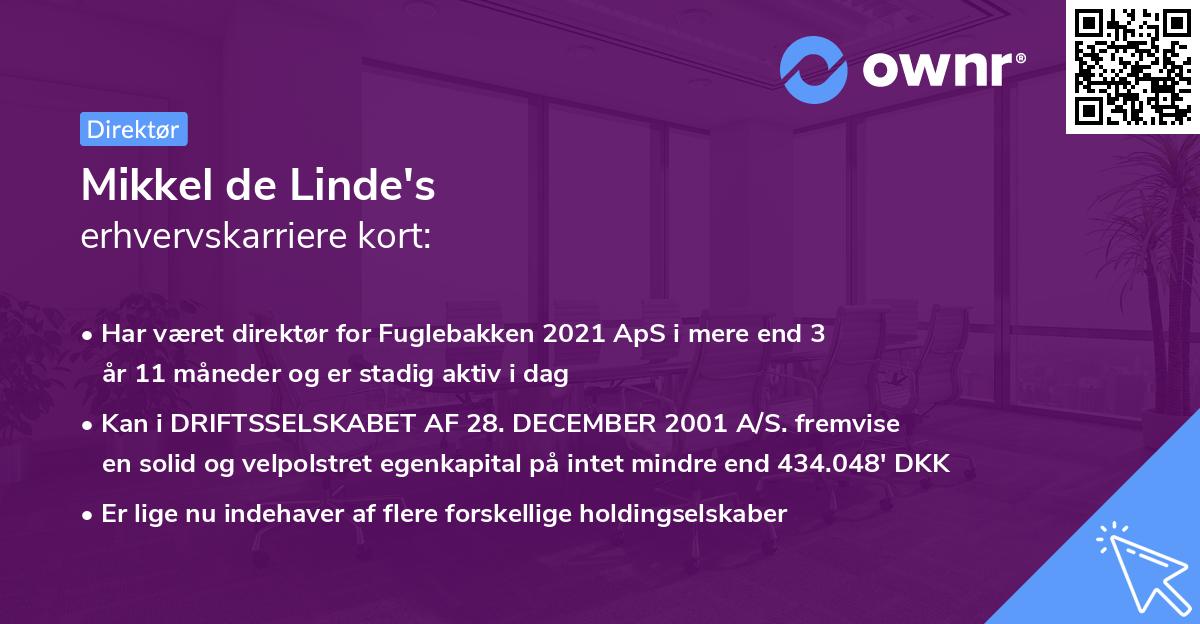 Mikkel de Linde's erhvervskarriere kort