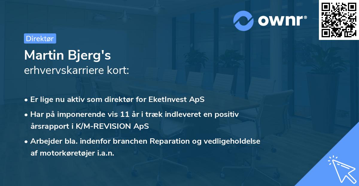 Martin Bjerg's erhvervskarriere kort