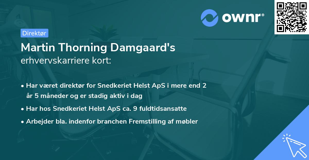 Martin Thorning Damgaard's erhvervskarriere kort