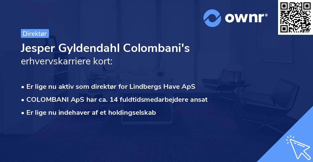 Jesper Gyldendahl Colombani's erhvervskarriere kort