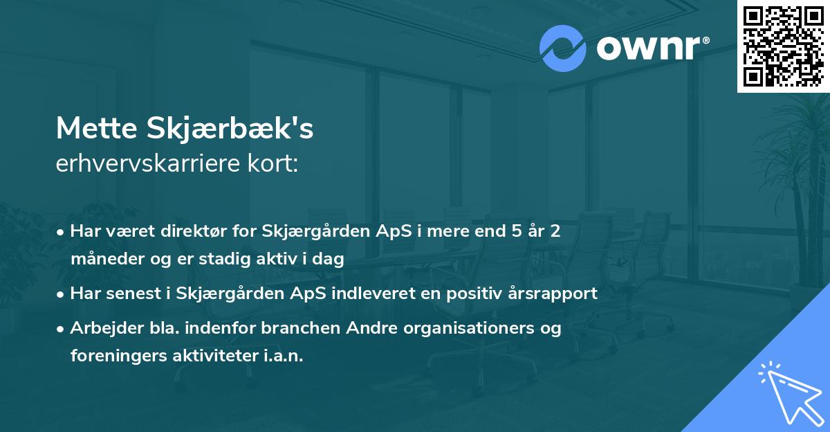 Mette Skjærbæk's erhvervskarriere kort