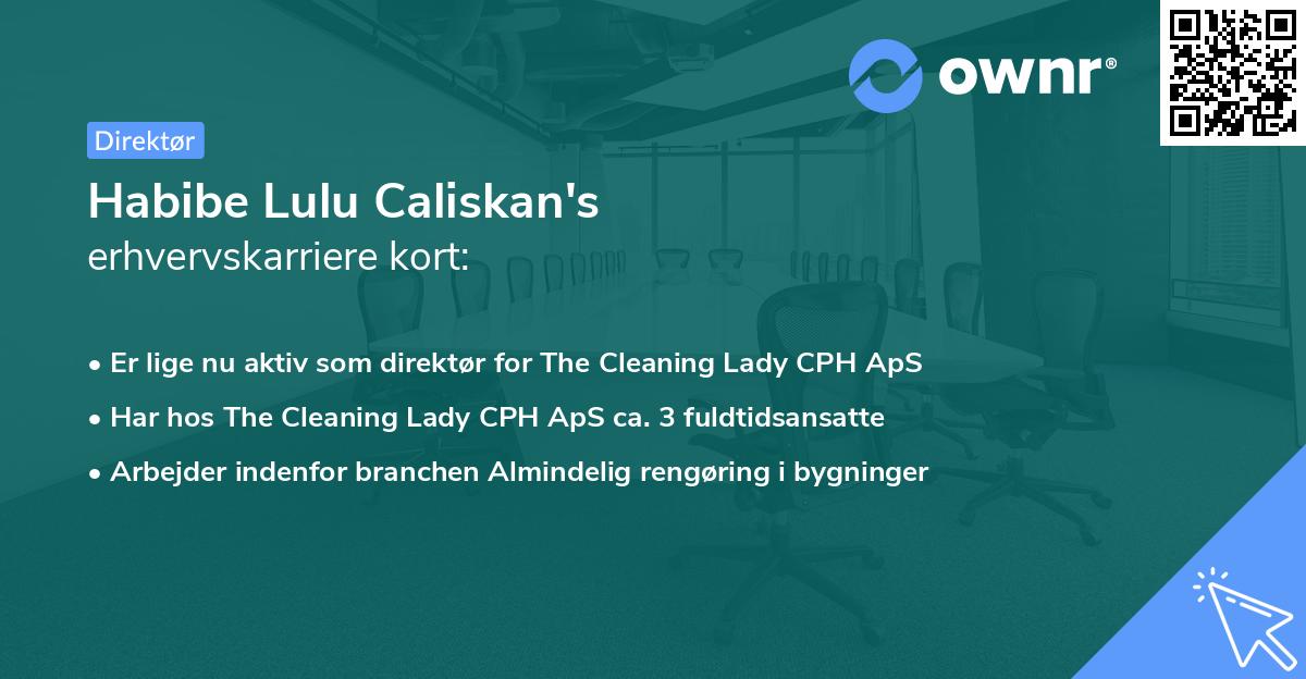 Habibe Lulu Caliskan's erhvervskarriere kort