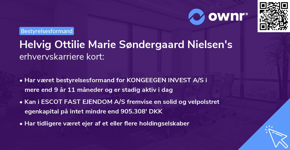 Helvig Ottilie Marie Søndergaard Nielsen's erhvervskarriere kort