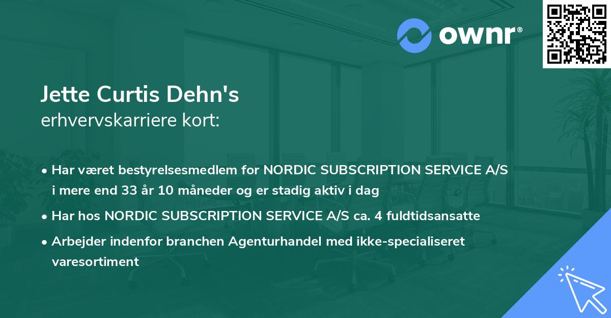 Jette Curtis Dehn's erhvervskarriere kort