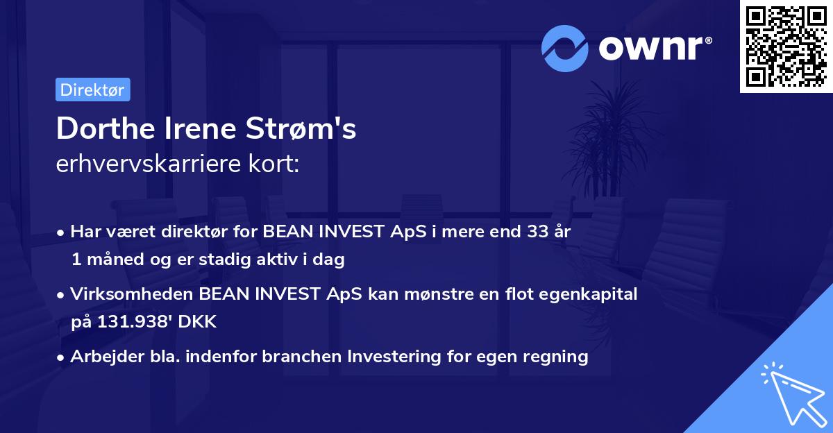 Dorthe Irene Strøm's erhvervskarriere kort