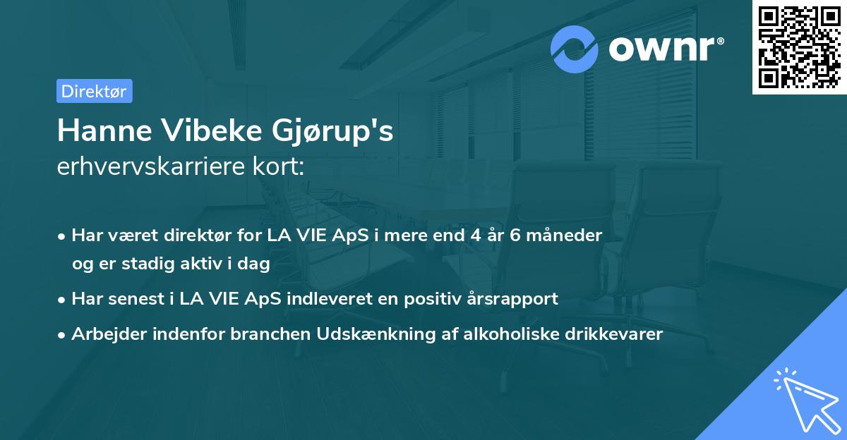 Hanne Vibeke Gjørup's erhvervskarriere kort
