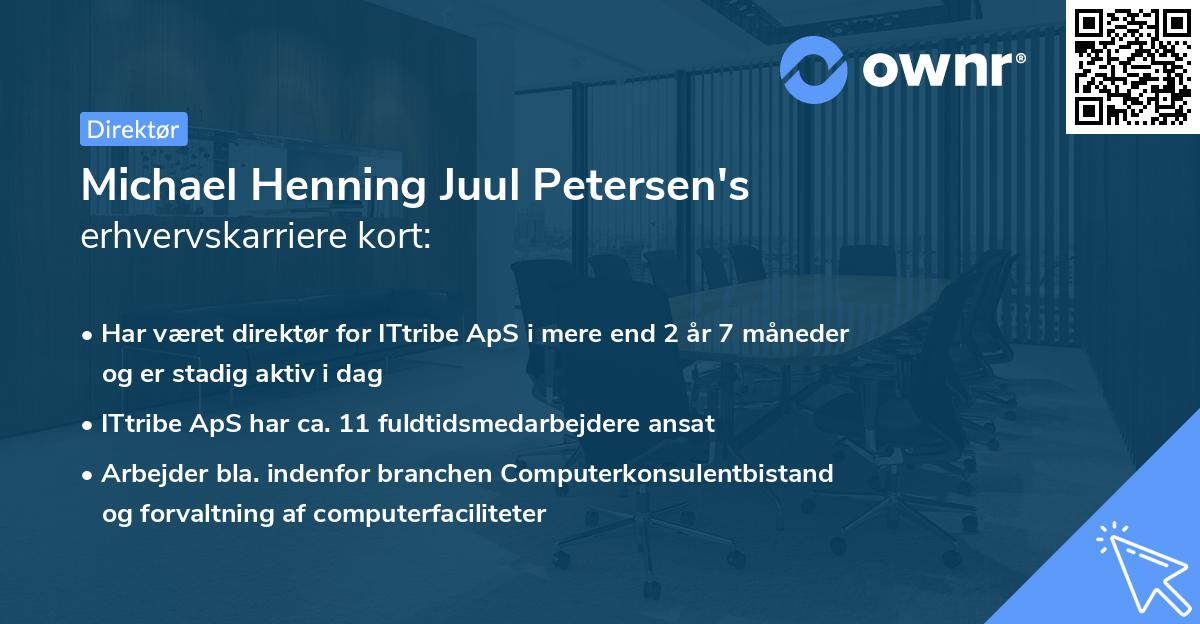 Michael Henning Juul Petersen's erhvervskarriere kort