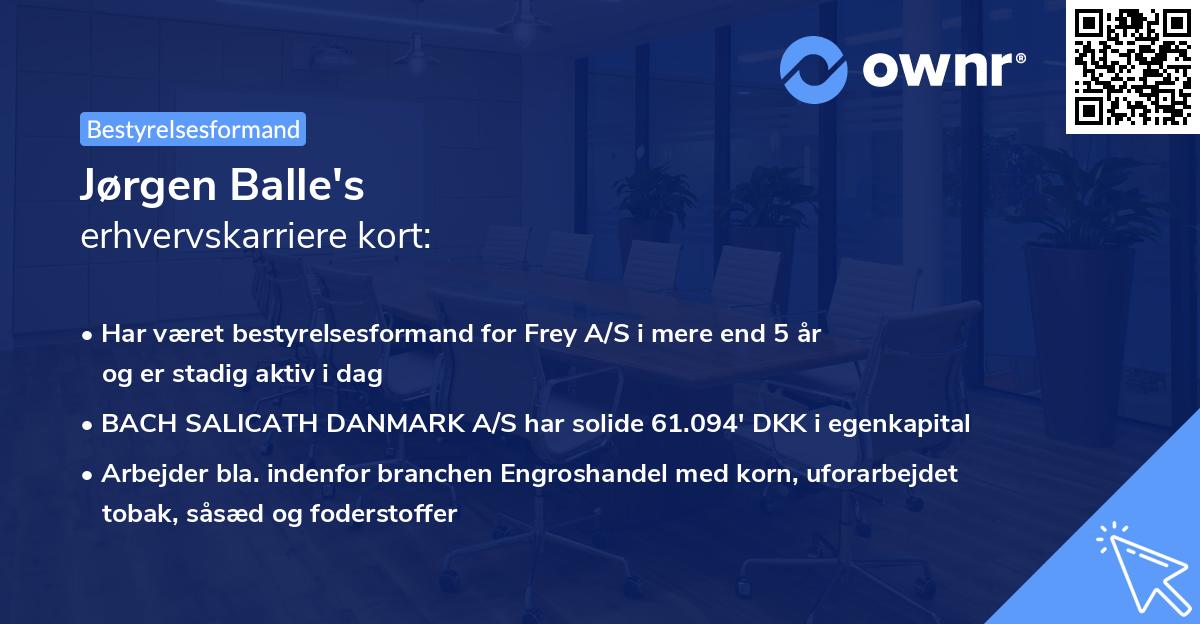 Jørgen Balle's erhvervskarriere kort