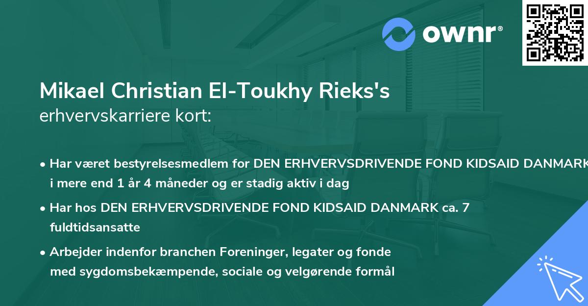 Mikael Christian El-Toukhy Rieks's erhvervskarriere kort