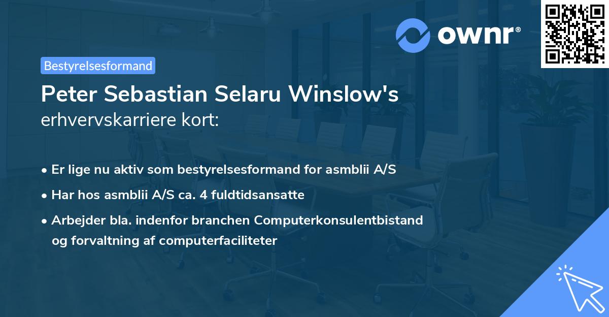 Peter Sebastian Selaru Winslow's erhvervskarriere kort