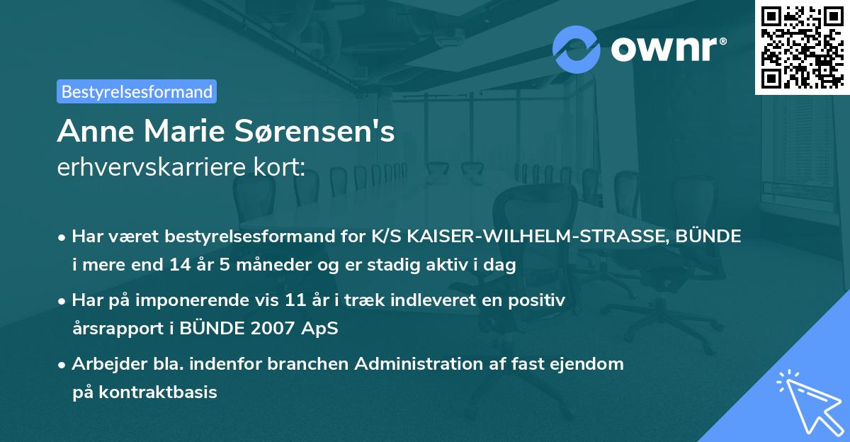 Anne Marie Sørensen's erhvervskarriere kort