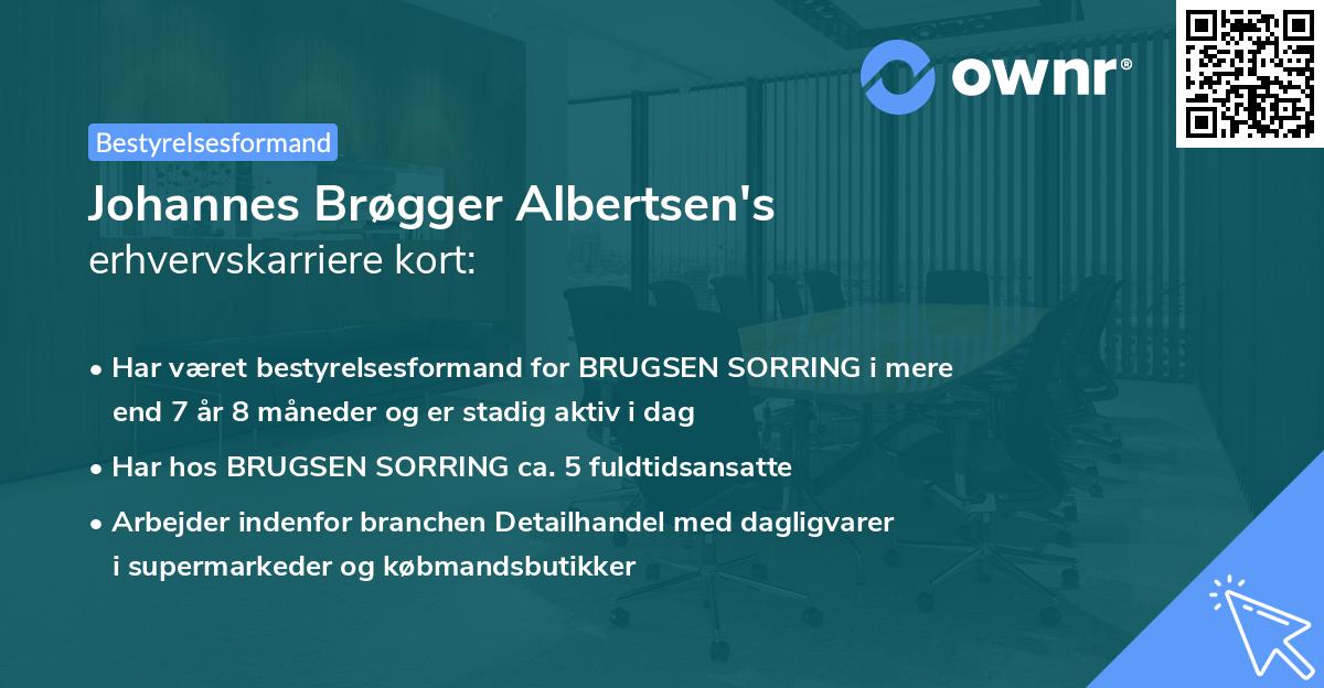 Johannes Brøgger Albertsen's erhvervskarriere kort