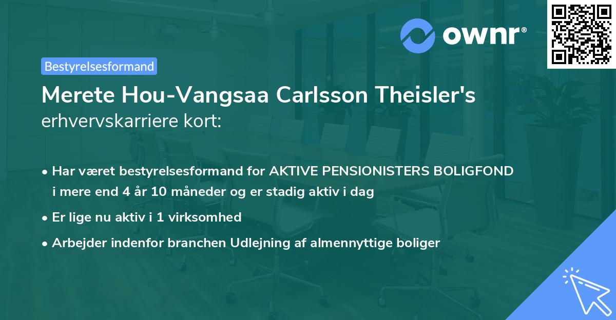 Merete Hou-Vangsaa Carlsson Theisler's erhvervskarriere kort