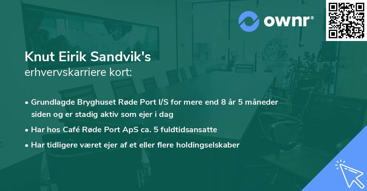 Knut Eirik Sandvik's erhvervskarriere kort