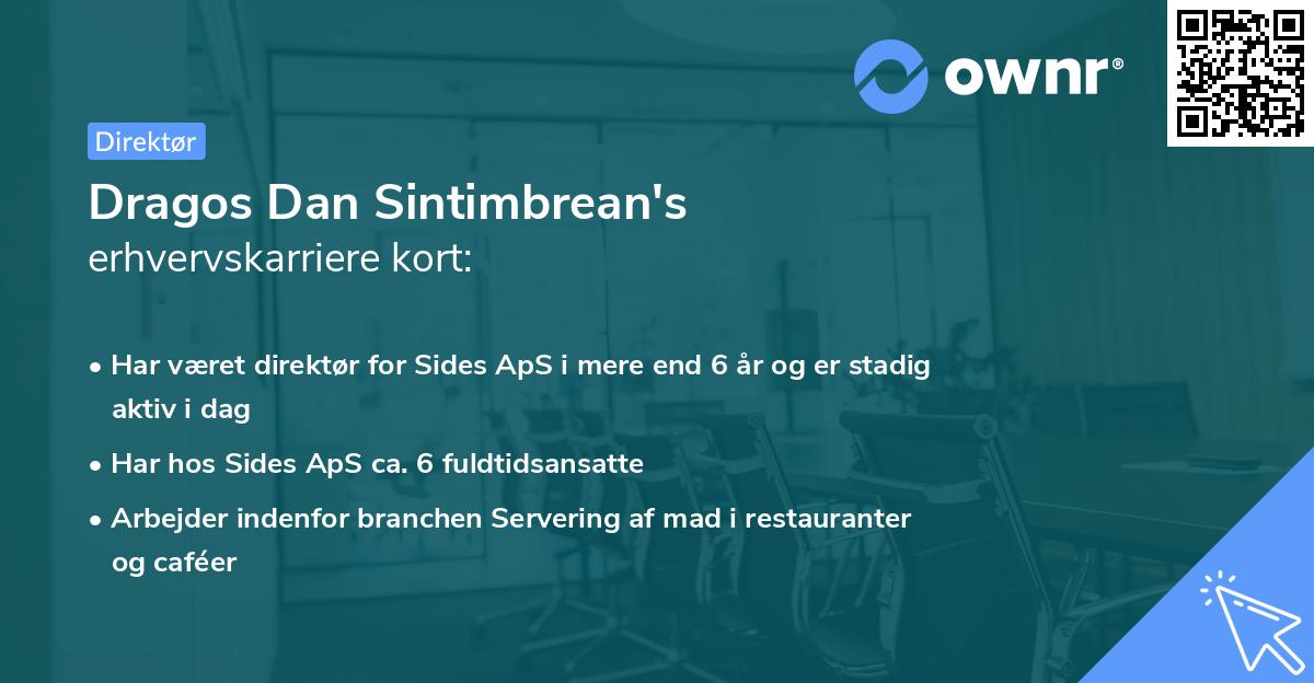 Dragos Dan Sintimbrean's erhvervskarriere kort