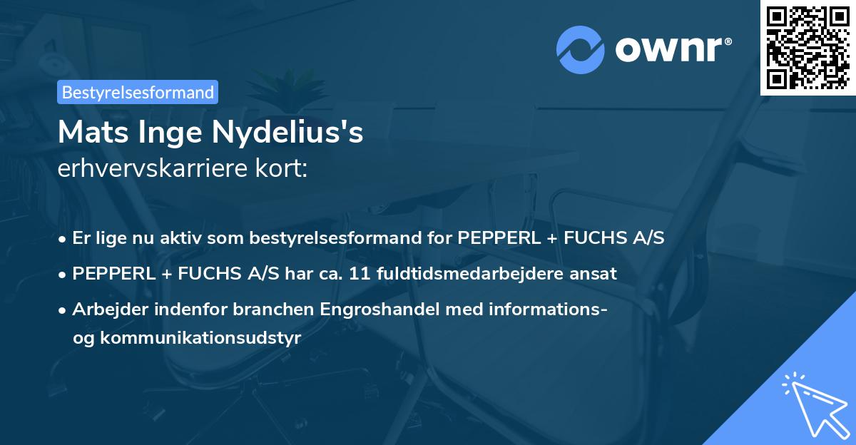 Mats Inge Nydelius's erhvervskarriere kort