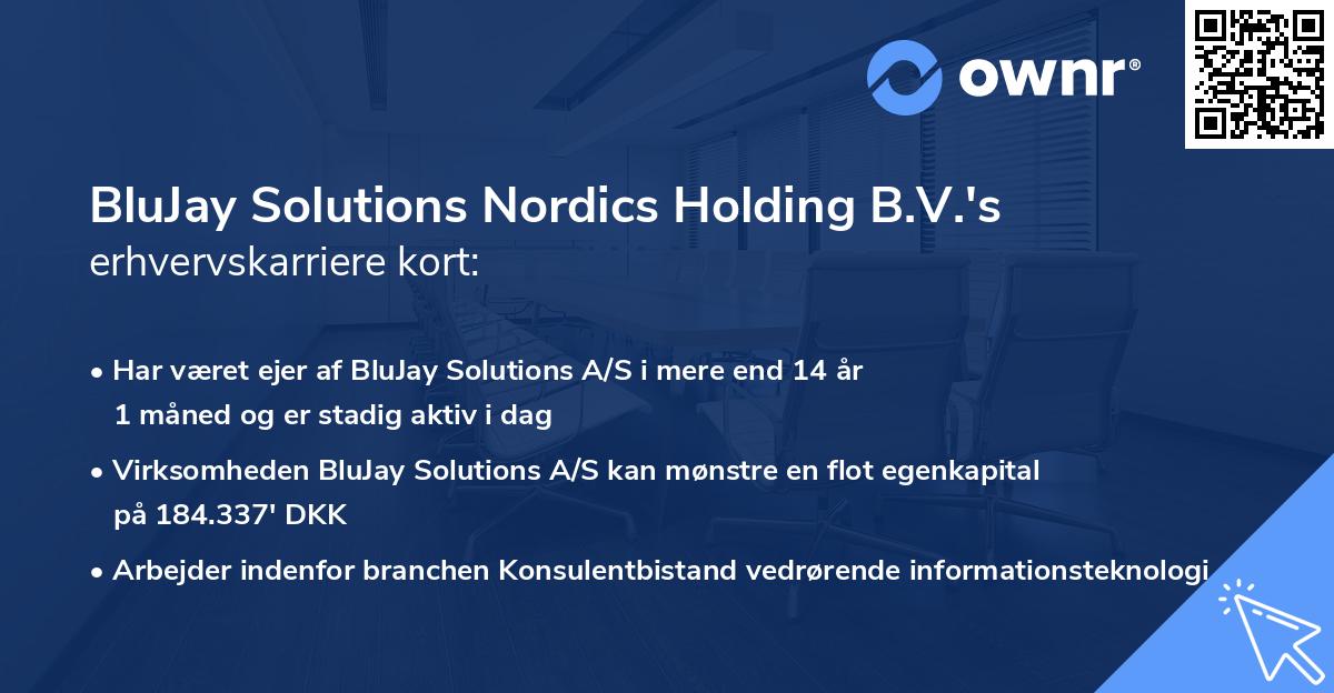 BluJay Solutions Nordics Holding B.V.'s erhvervskarriere kort