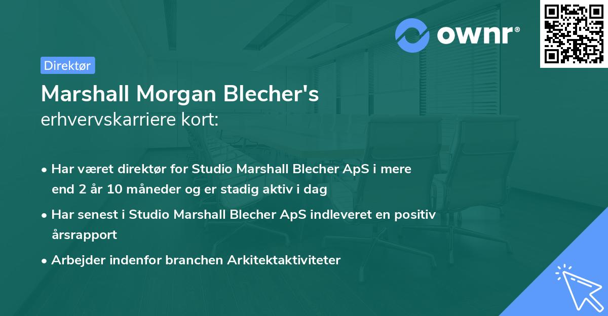 Marshall Morgan Blecher's erhvervskarriere kort