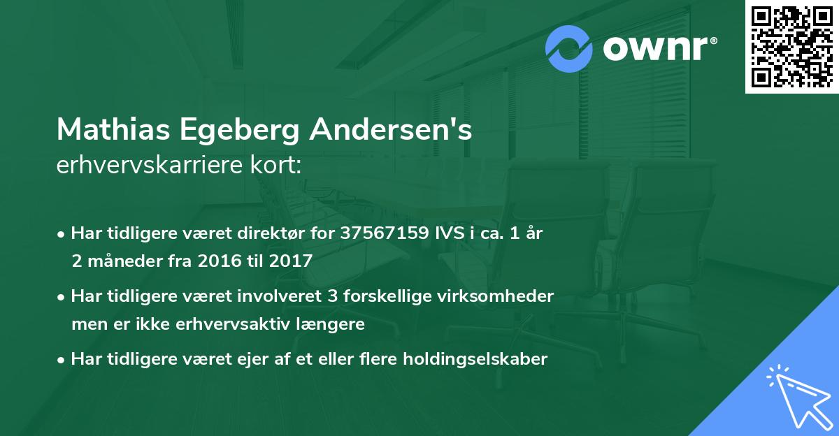 Mathias Egeberg Andersen's erhvervskarriere kort