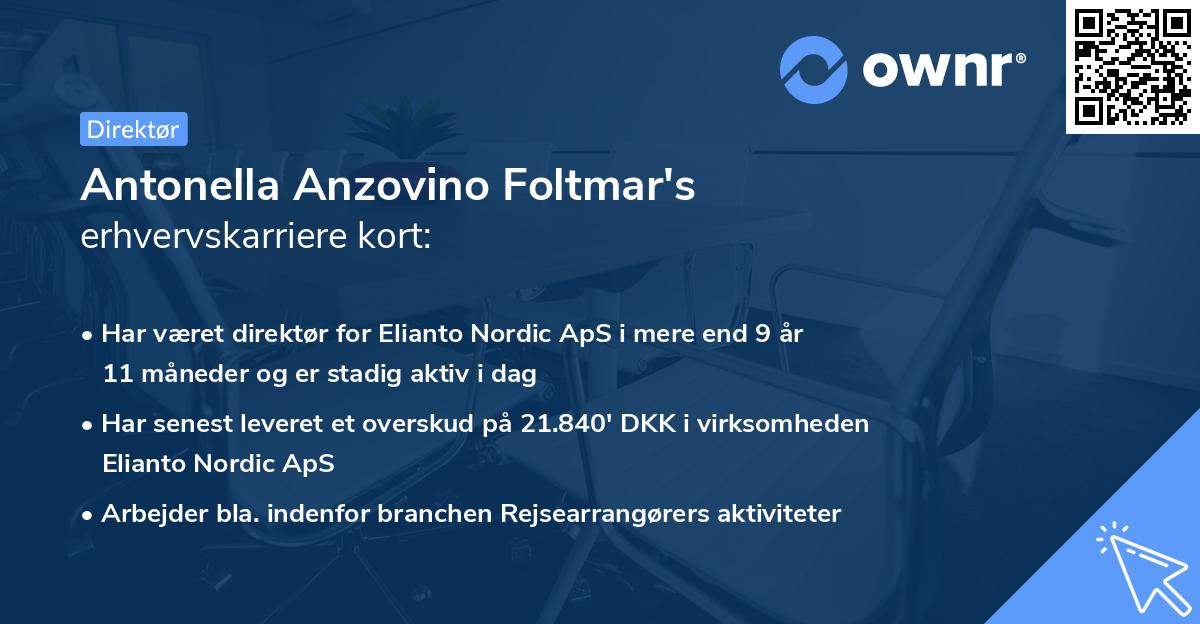 Antonella Anzovino Foltmar's erhvervskarriere kort