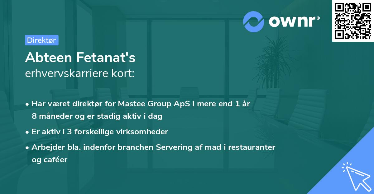 Abteen Fetanat's erhvervskarriere kort