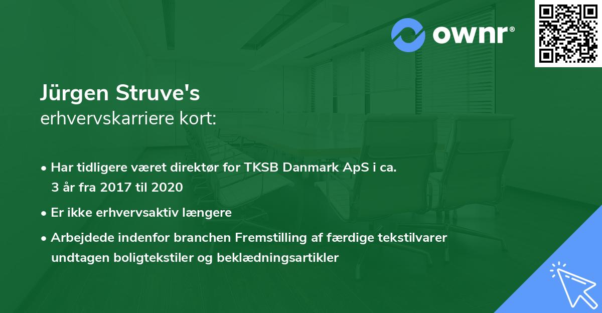 Jürgen Struve's erhvervskarriere kort