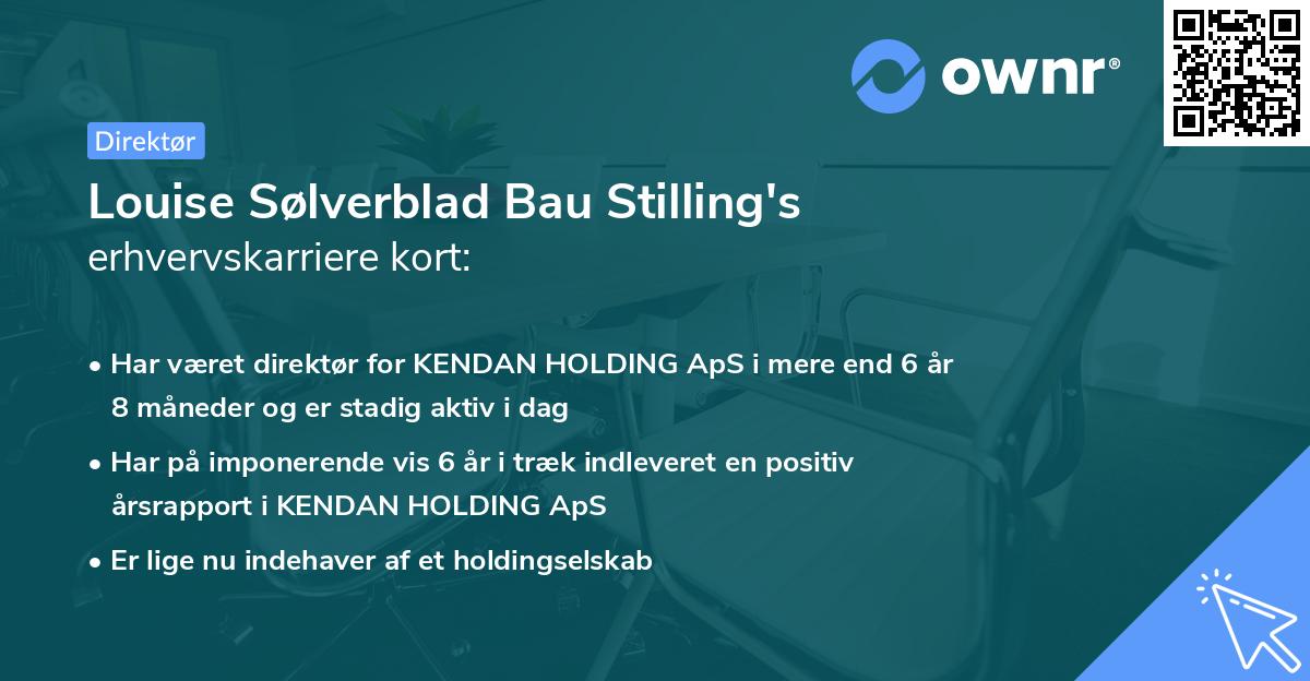 Louise Sølverblad Bau Stilling's erhvervskarriere kort