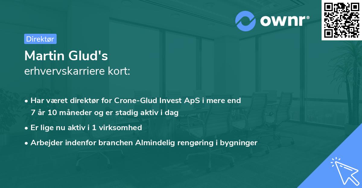 Martin Glud's erhvervskarriere kort