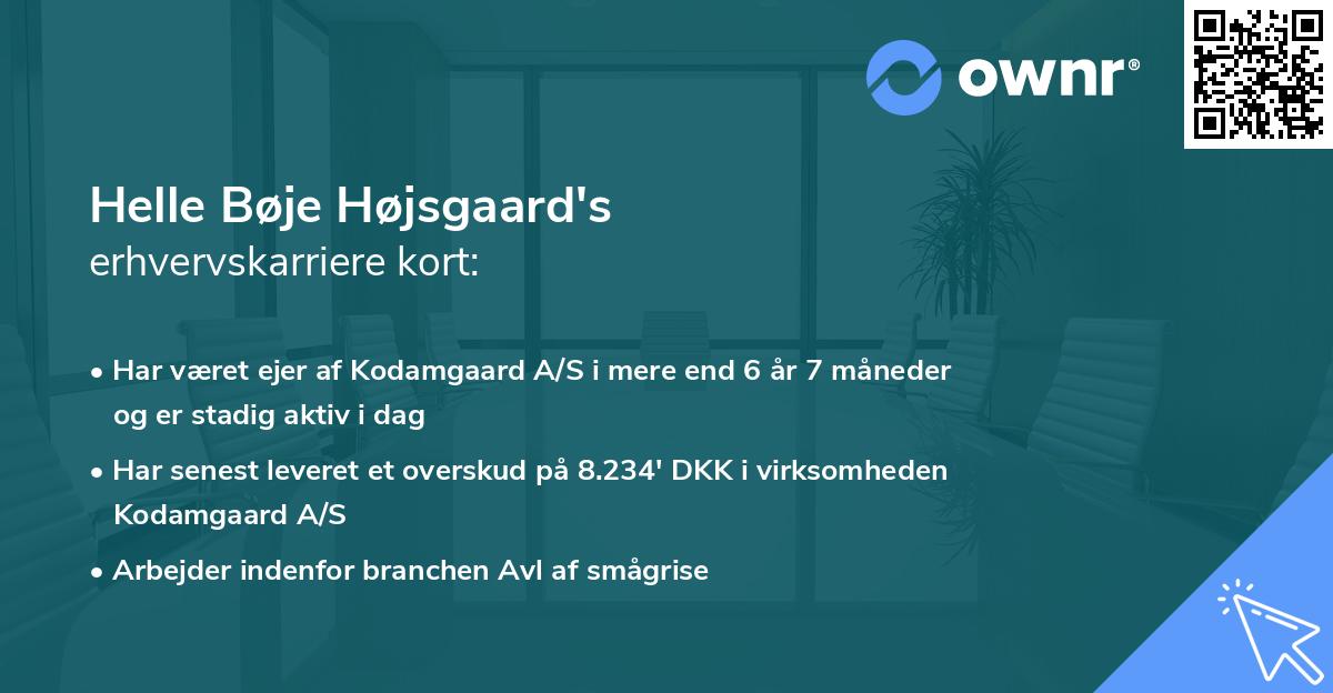Helle Bøje Højsgaard's erhvervskarriere kort