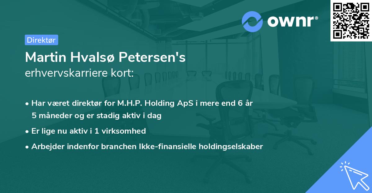 Martin Hvalsø Petersen's erhvervskarriere kort