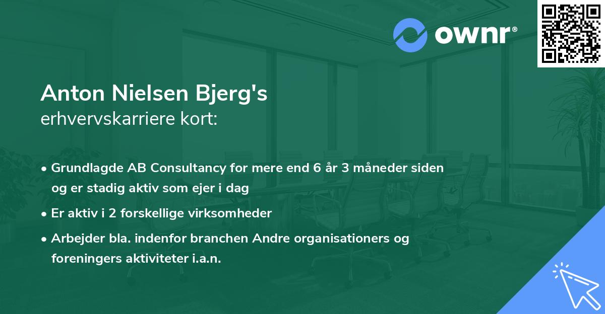 Anton Nielsen Bjerg's erhvervskarriere kort