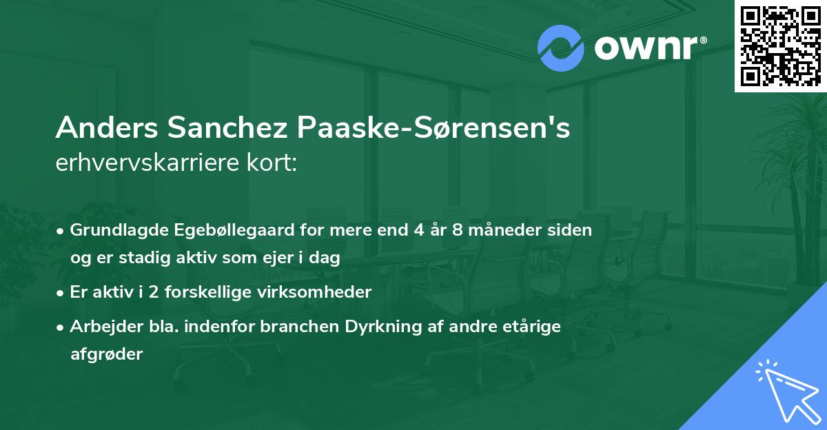 Anders Sanchez Paaske-Sørensen's erhvervskarriere kort