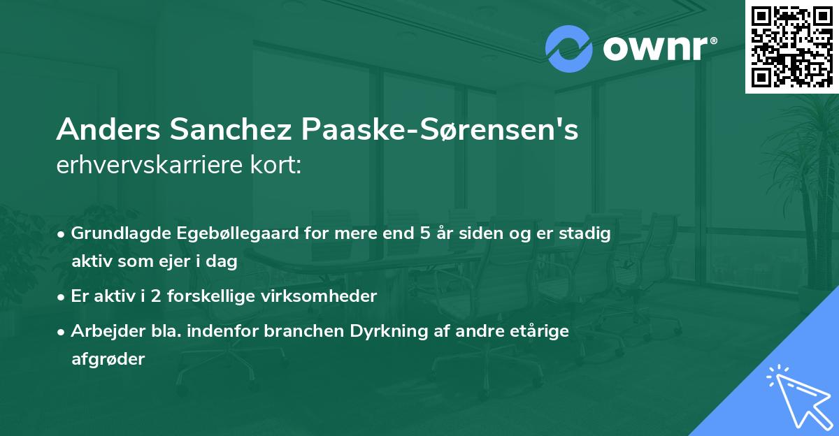 Anders Sanchez Paaske-Sørensen's erhvervskarriere kort