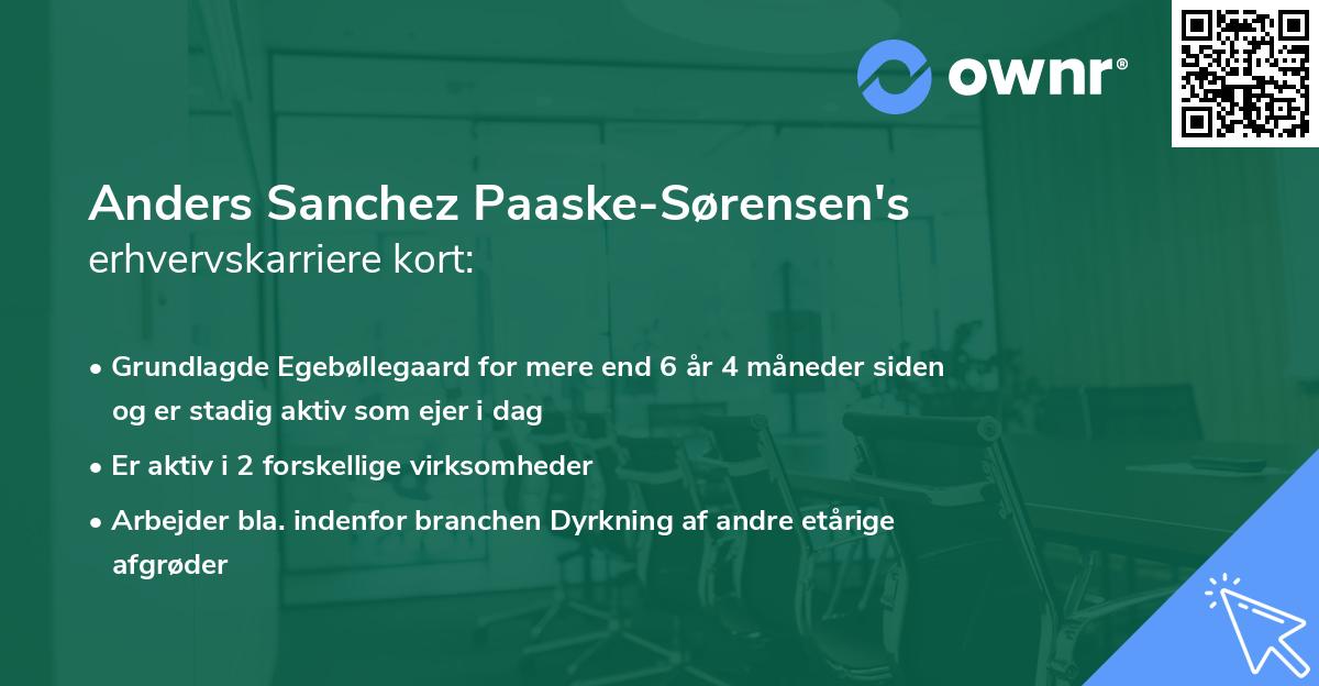 Anders Sanchez Paaske-Sørensen's erhvervskarriere kort