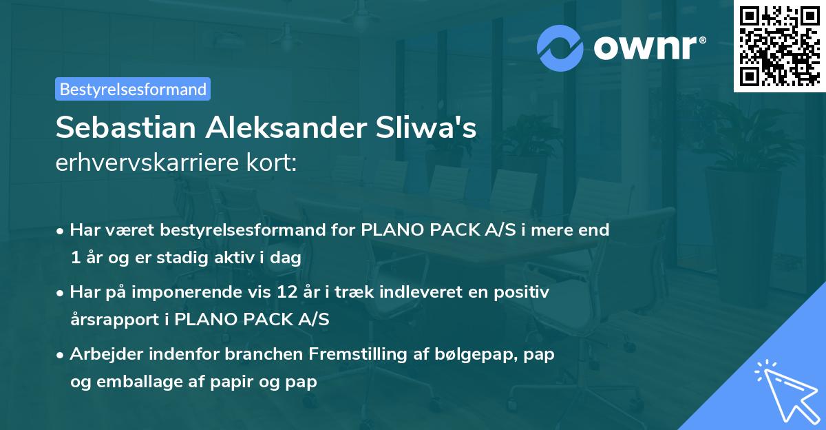 Sebastian Aleksander Sliwa's erhvervskarriere kort