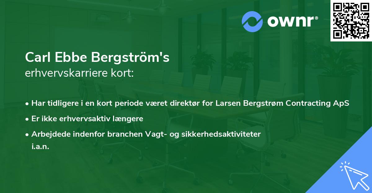 Carl Ebbe Bergström's erhvervskarriere kort