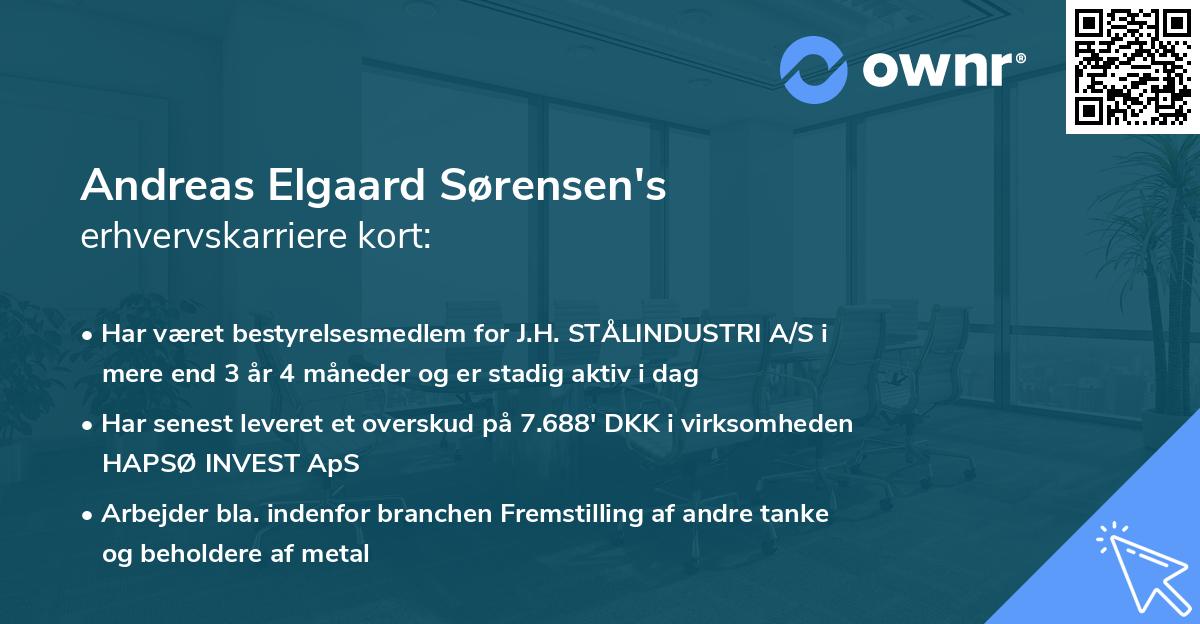 Andreas Elgaard Sørensen's erhvervskarriere kort