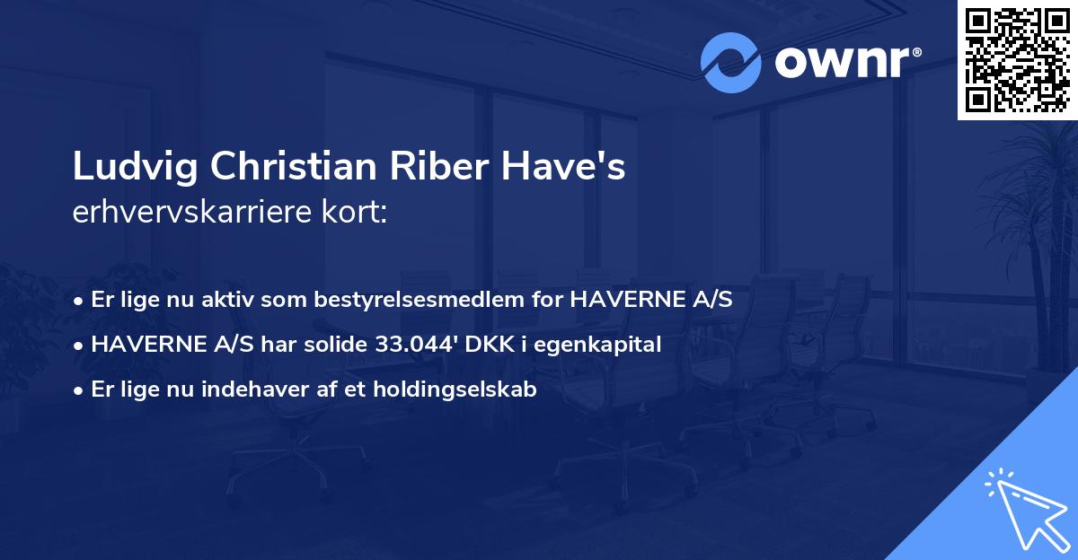 Ludvig Christian Riber Have's erhvervskarriere kort