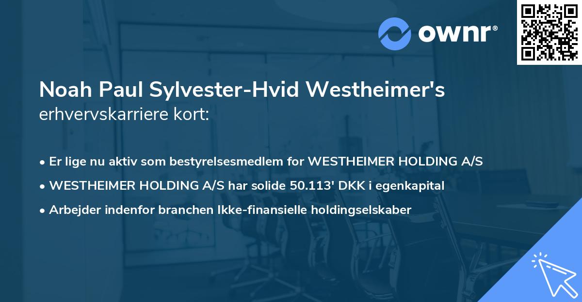 Noah Paul Sylvester-Hvid Westheimer's erhvervskarriere kort