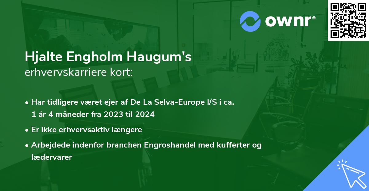 Hjalte Engholm Haugum's erhvervskarriere kort