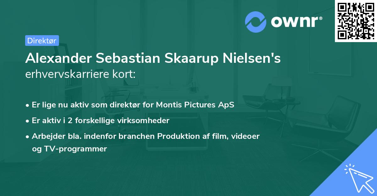 Alexander Sebastian Skaarup Nielsen's erhvervskarriere kort
