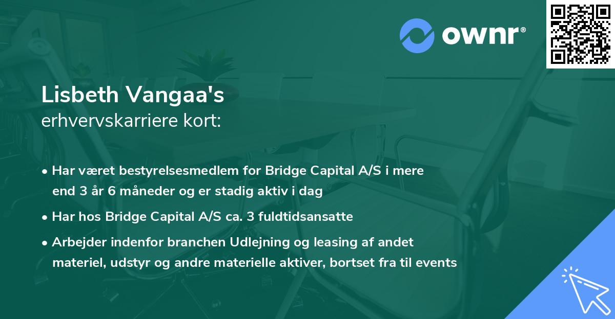Lisbeth Vangaa's erhvervskarriere kort