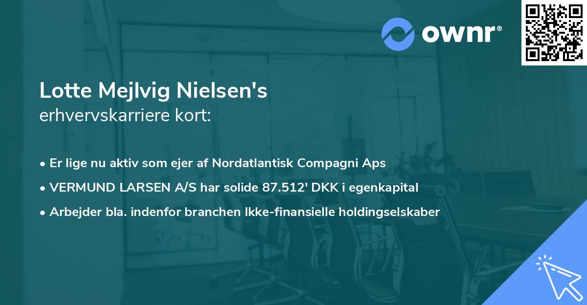 Lotte Mejlvig Nielsen's erhvervskarriere kort