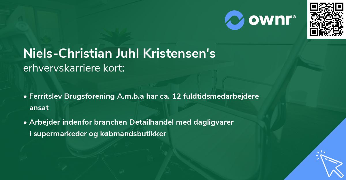 Niels-Christian Juhl Kristensen's erhvervskarriere kort
