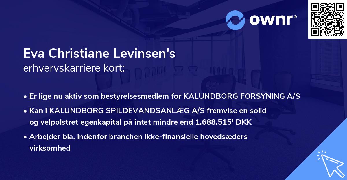 Eva Christiane Levinsen's erhvervskarriere kort