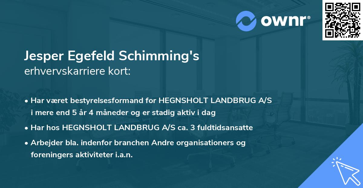 Jesper Egefeld Schimming's erhvervskarriere kort
