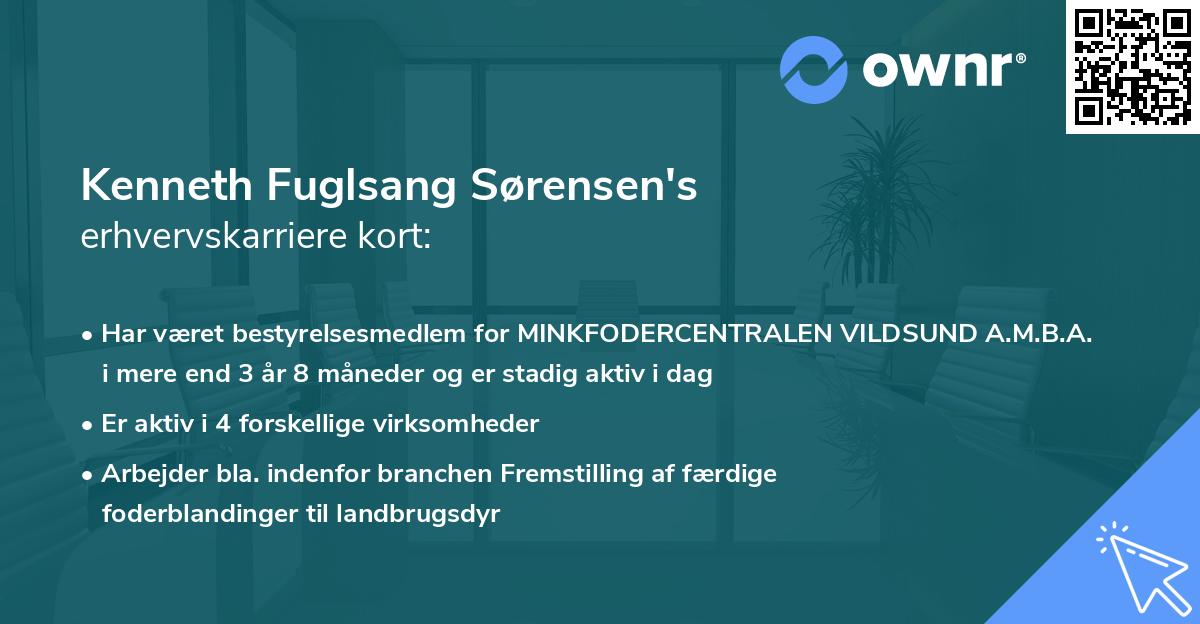 Kenneth Fuglsang Sørensen's erhvervskarriere kort