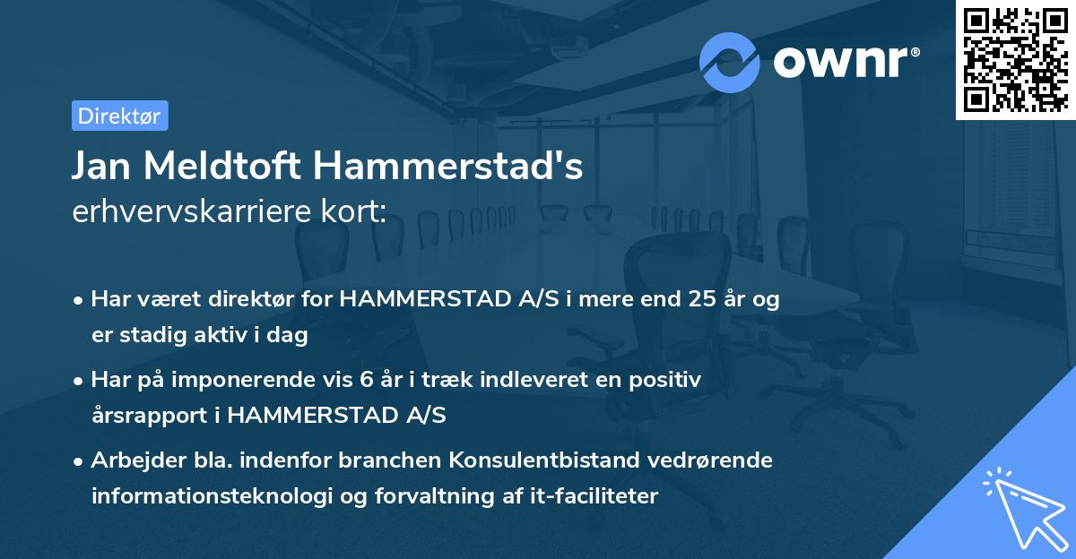 Jan Meldtoft Hammerstad's erhvervskarriere kort