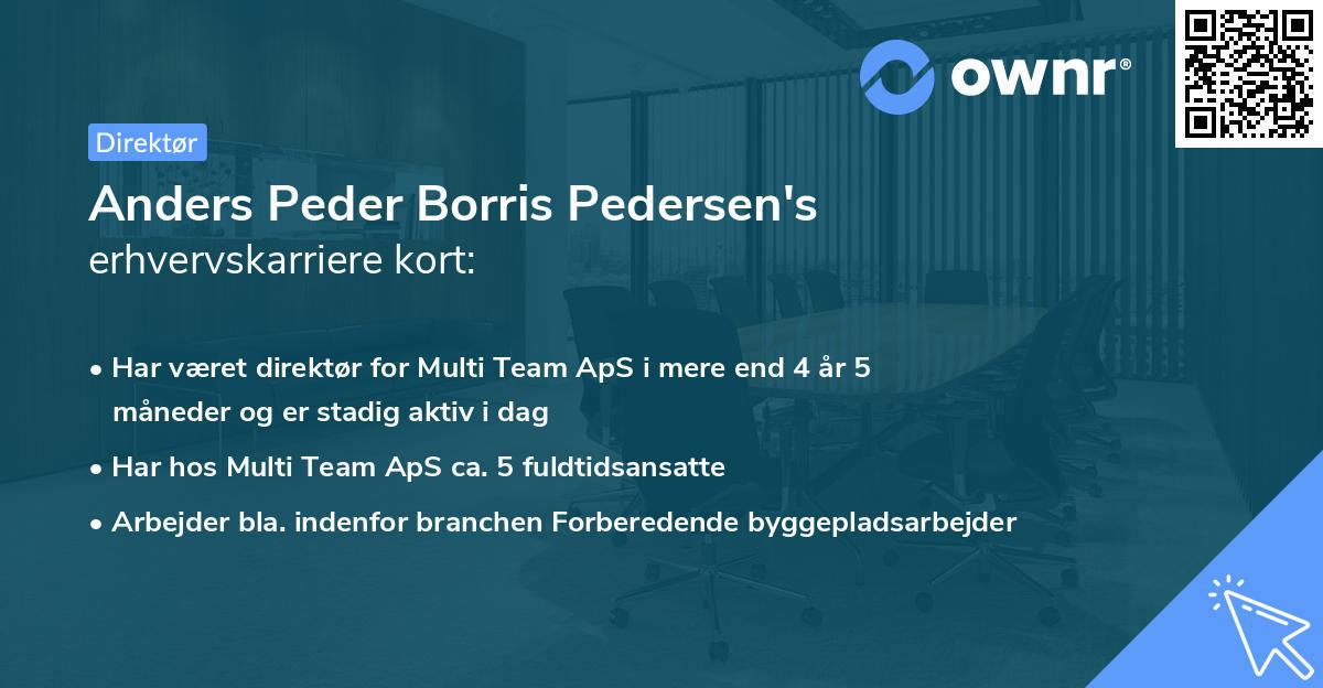 Anders Peder Borris Pedersen's erhvervskarriere kort